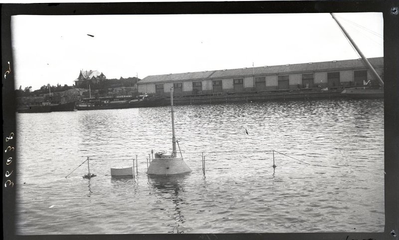 4803102.jpg