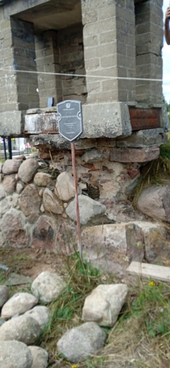 IMG_20220810_120102.jpg