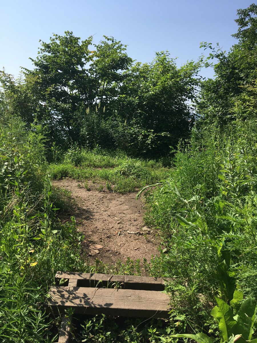 upload_2022-8-15_9-52-23.jpeg