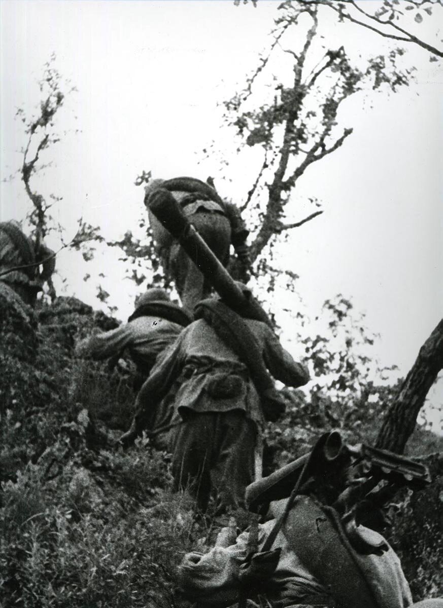 НВ-4916-15.jpg