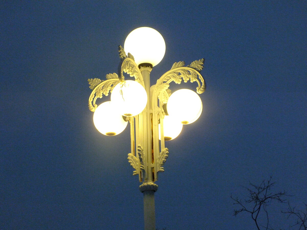 DSCF5521.JPG
