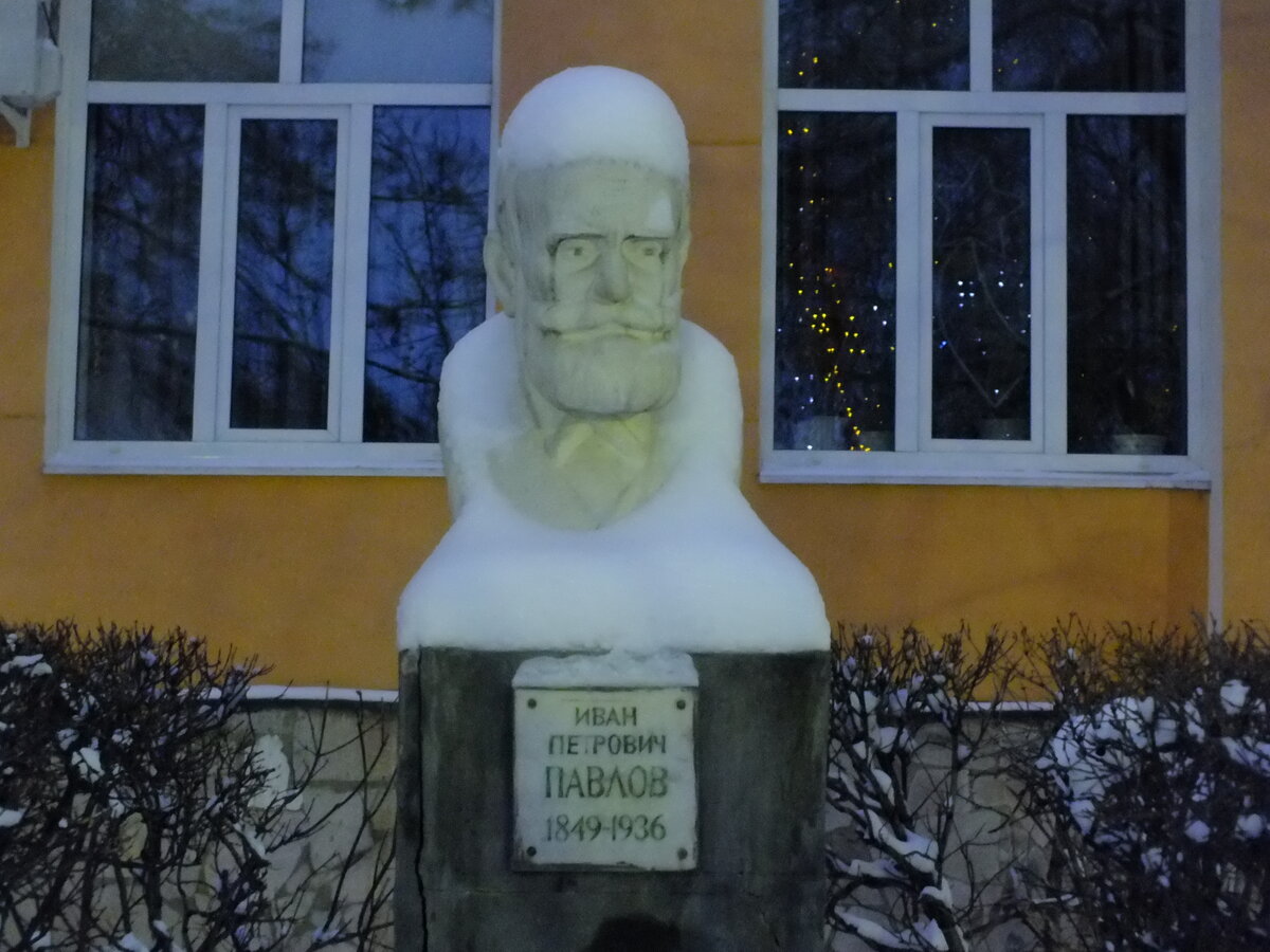 DSCF5535.JPG