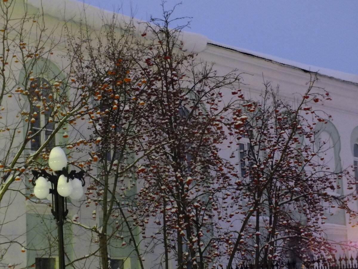 DSCF5536.JPG
