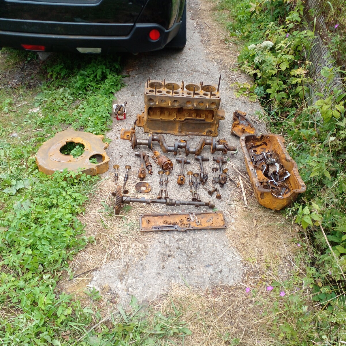 IMG-20220821-WA0016.jpeg