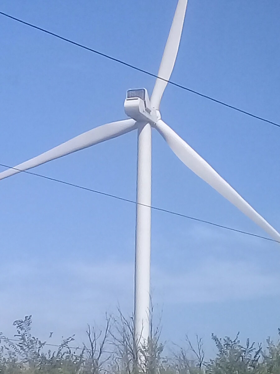 20220830_102936.jpg