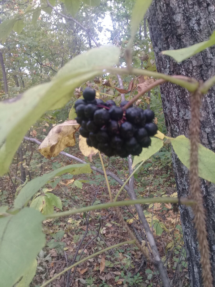 20220912_133404.jpg