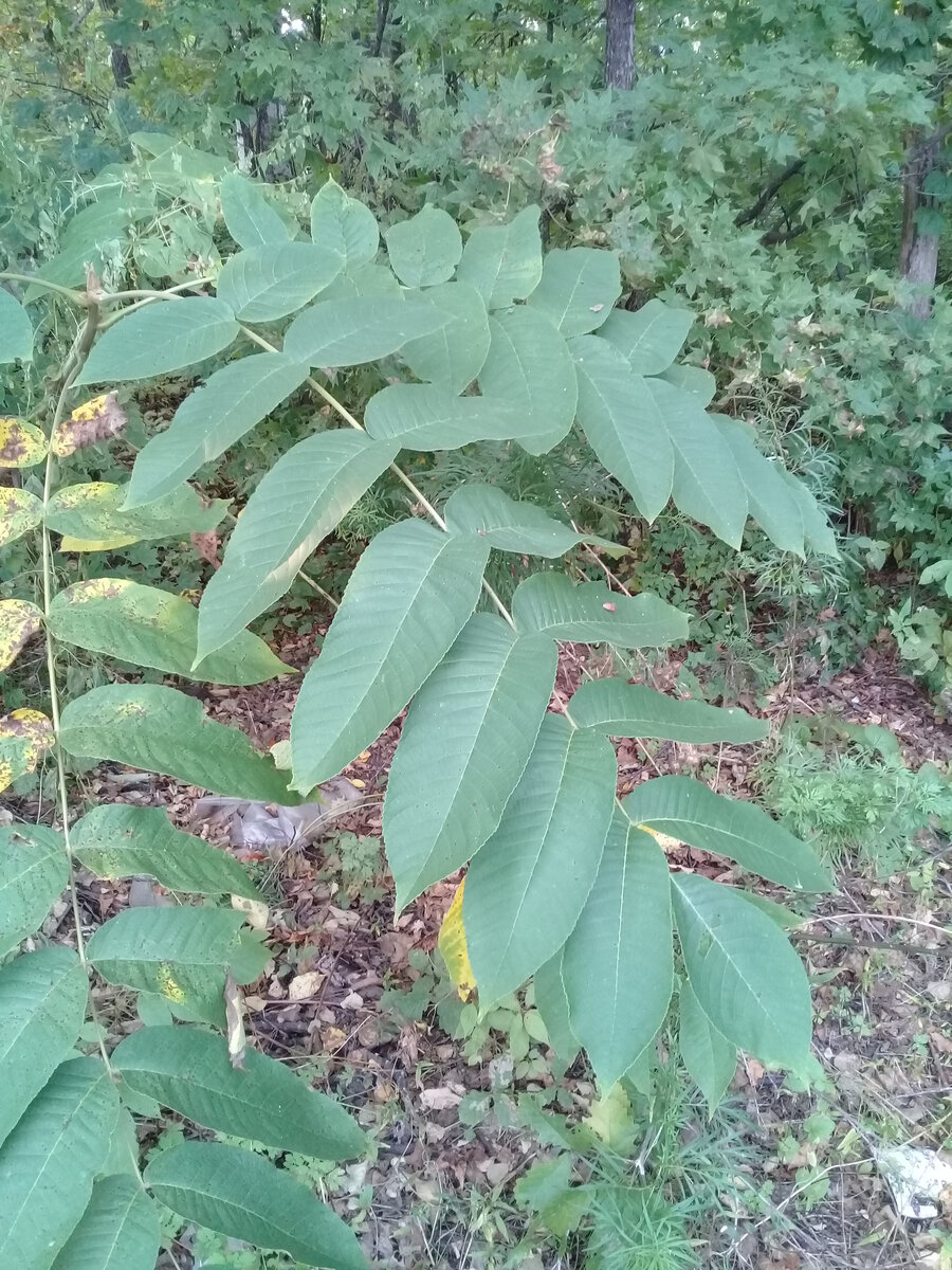 20220912_181904.jpg
