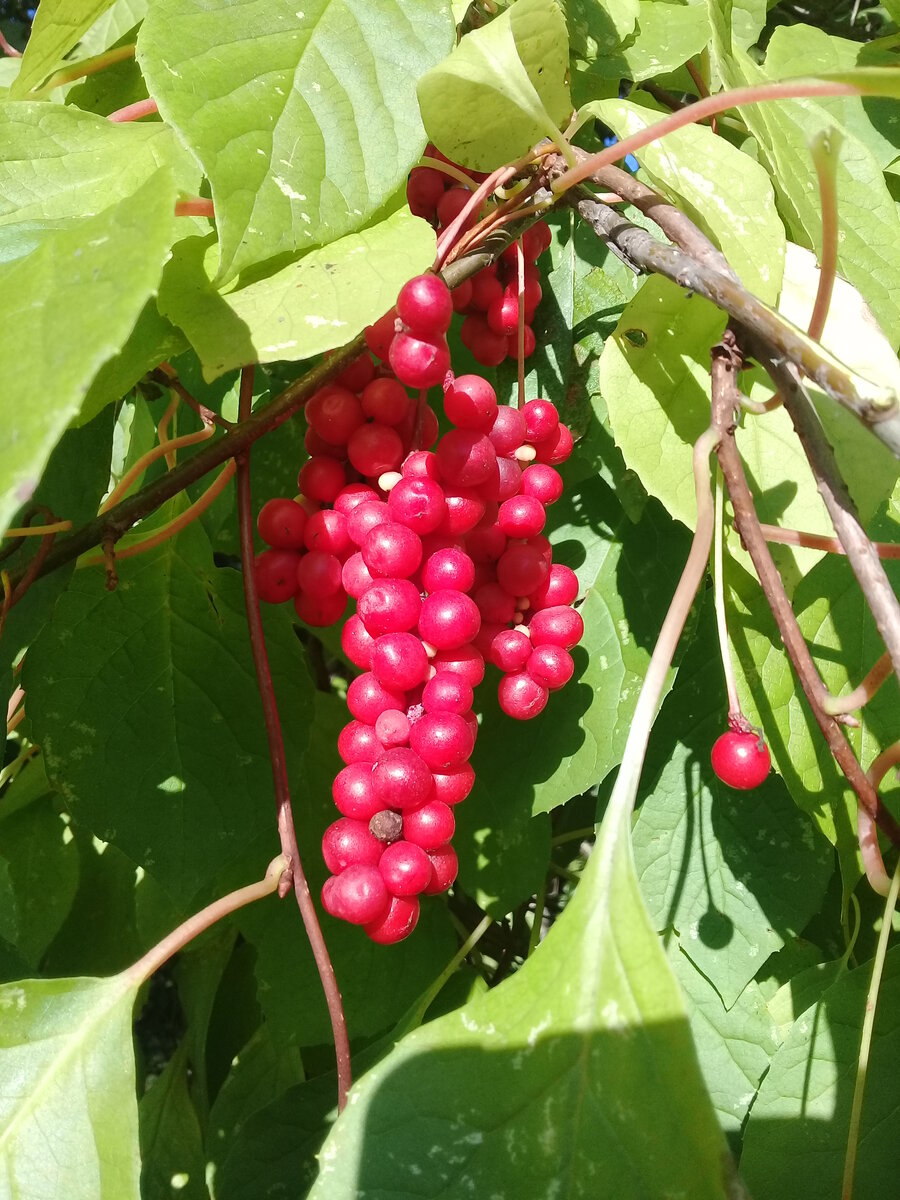 20220909_173358.jpg