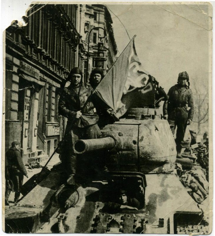 4190847.jpg