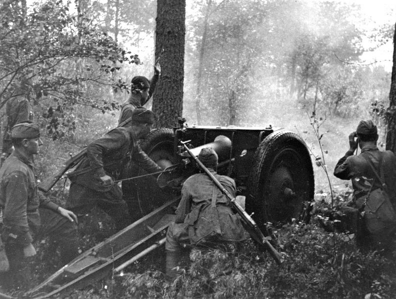 !Залп 76,2-мм полк.пушки обр. 1927г.. Волхов.ф-т, 1942г.jpg