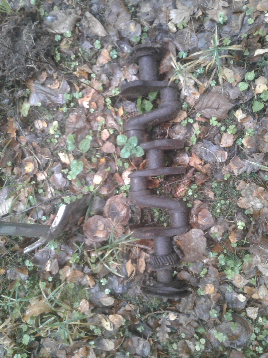 20221107_124738.jpg