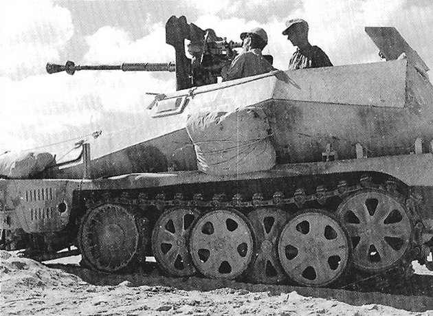 !_Sd.Kfz. 250 + франц. 25-мм пушка SA34.jpg