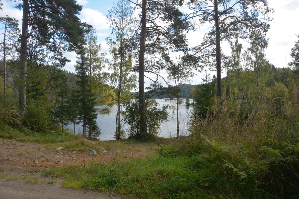 SGS_4895.JPG