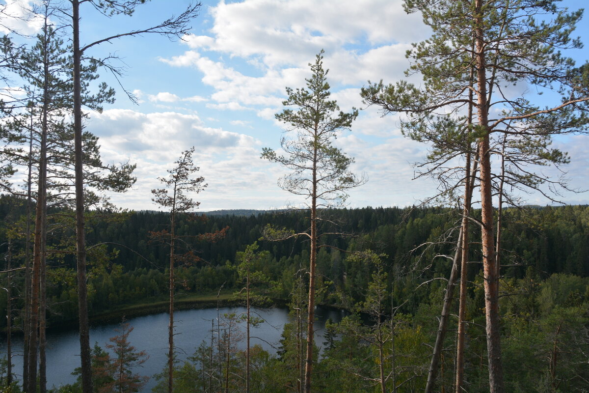 SGS_4910.JPG