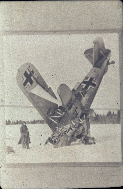 4016958.jpg