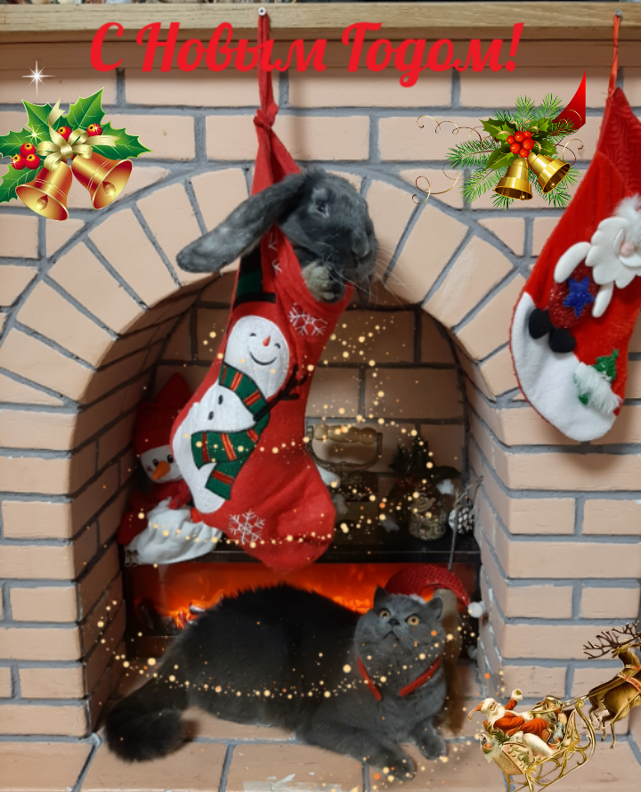 ChristmasPhoto1671709150474.png