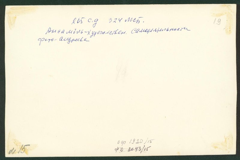 3919641.jpg