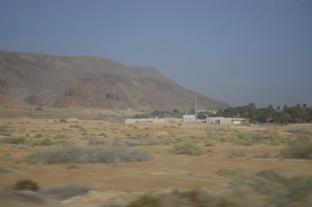 DSC_0140.JPG