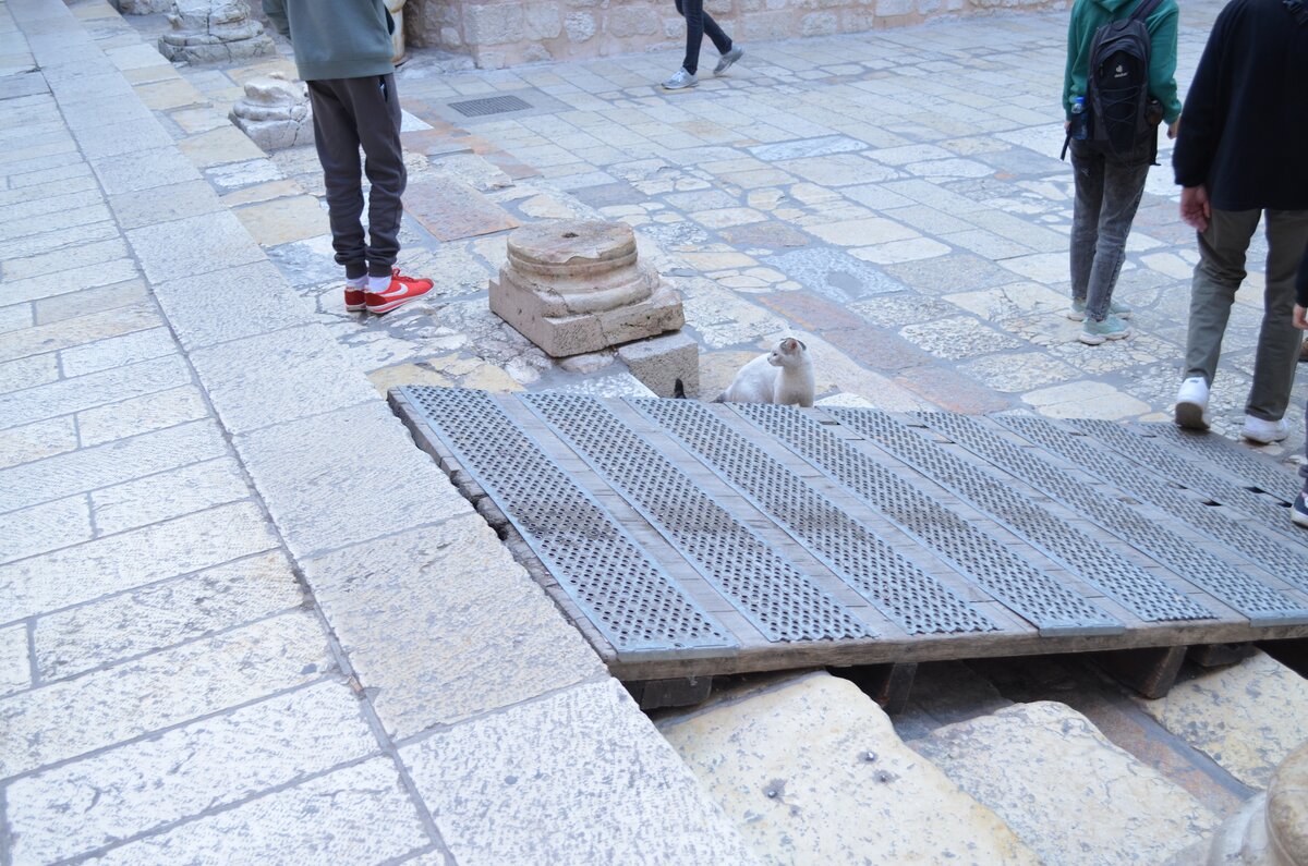 DSC_0391.JPG