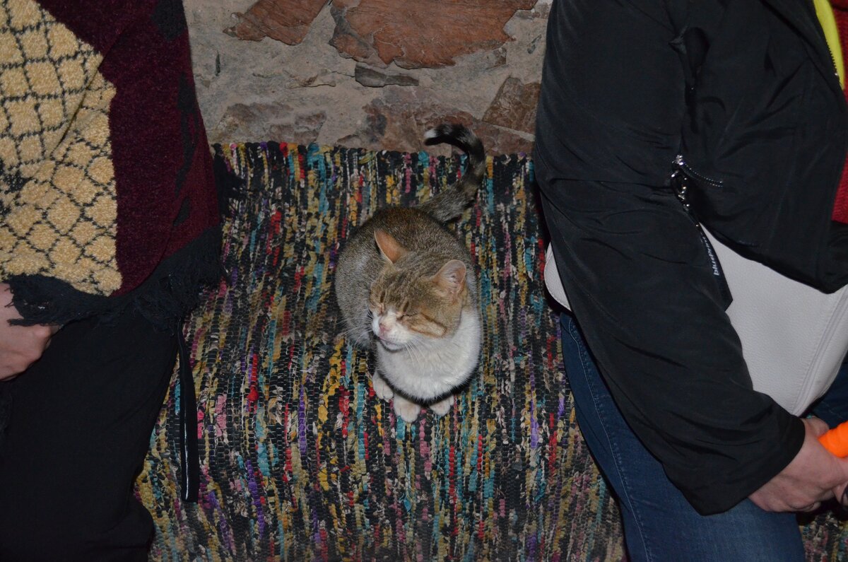 DSC_0483.JPG