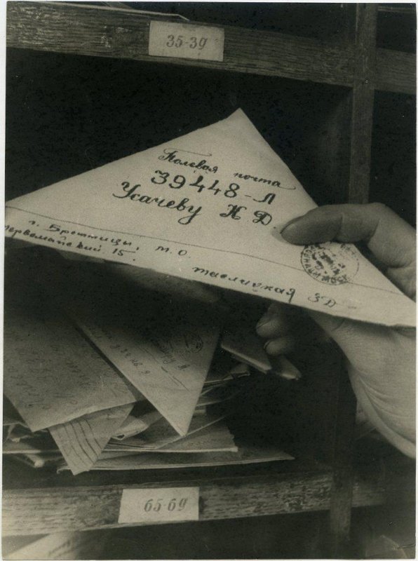 4319620.jpg