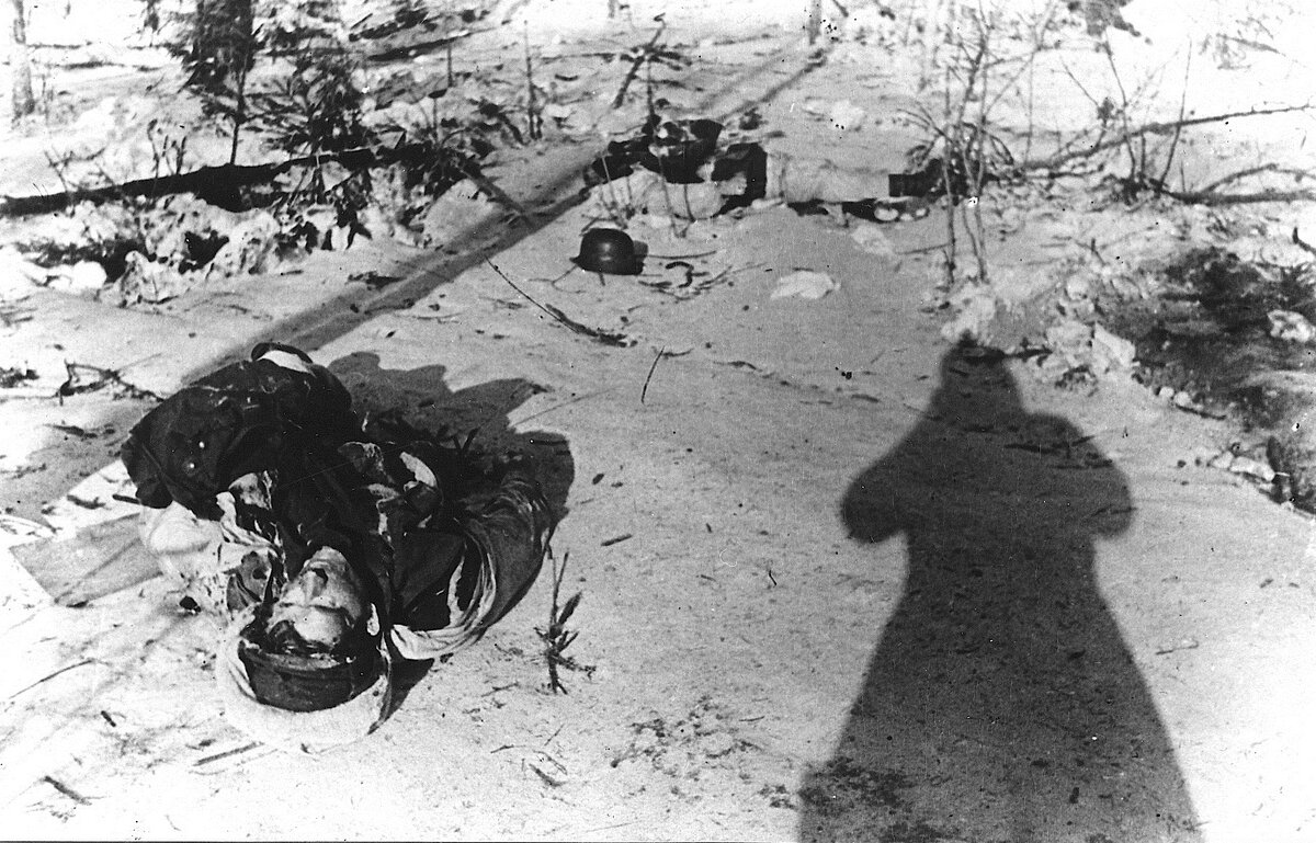 Hotinen1.jpg
