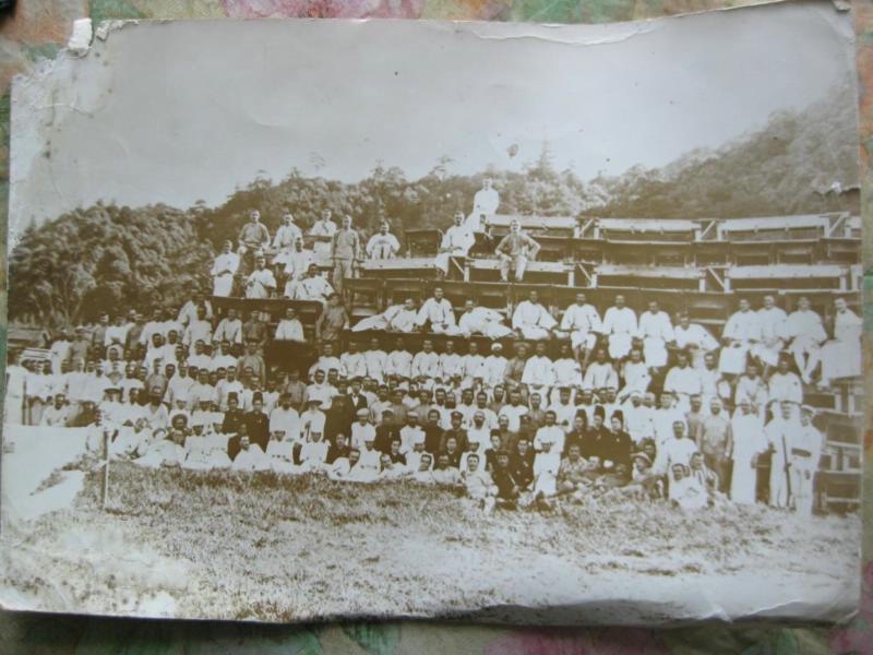3776616.jpg