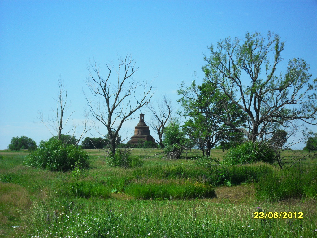 SDC10598.JPG