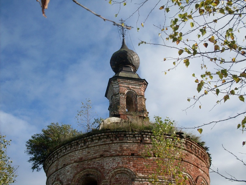 y_951a219e.jpg