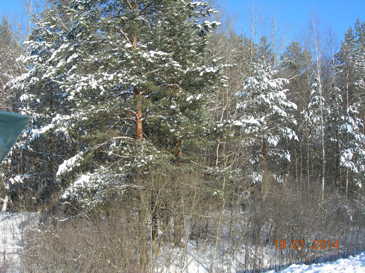 DSCN7193.JPG