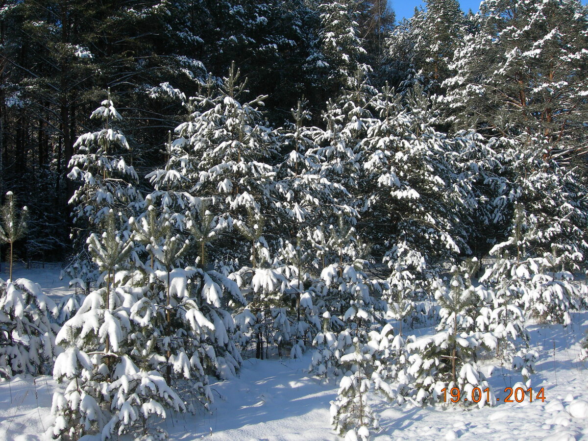 DSCN7226.JPG
