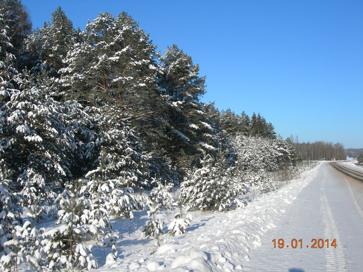 DSCN7229.JPG