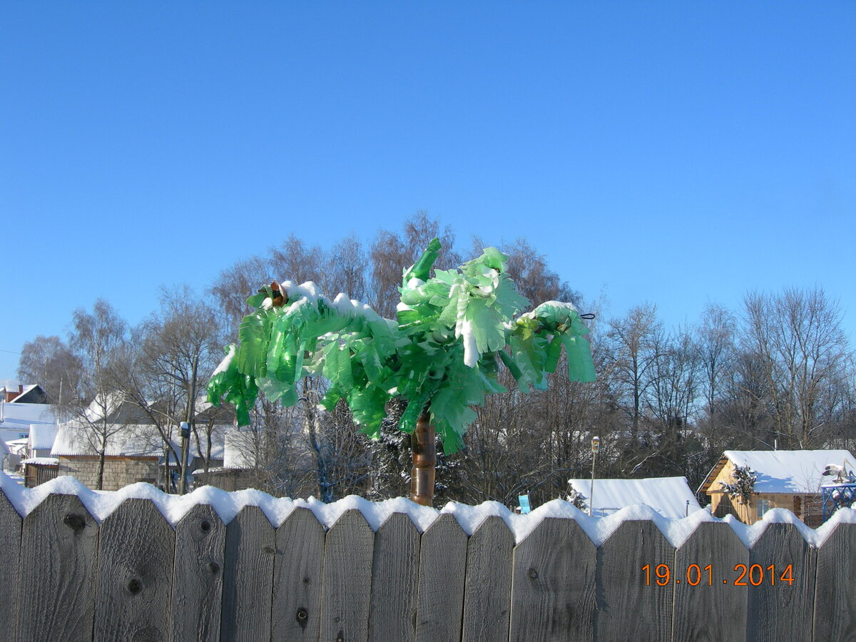 DSCN7252.JPG