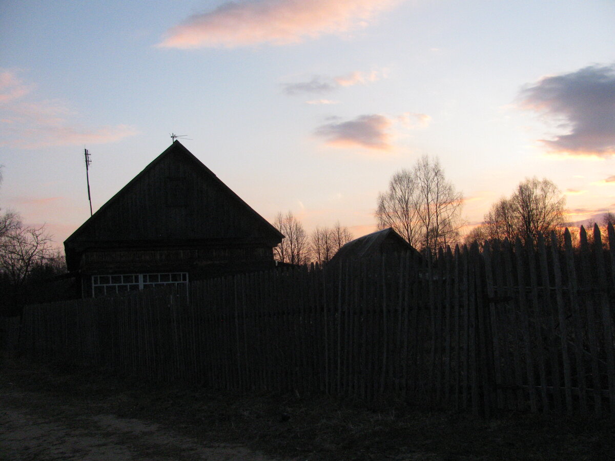 д.Большевицы 2011 (3).JPG