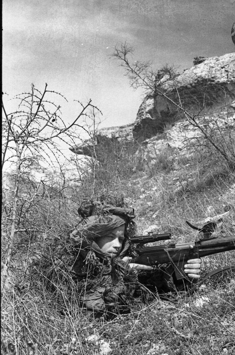 6CJCp29y19s.jpg