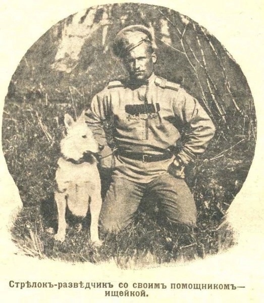 GEnYpmc3aR4.jpg