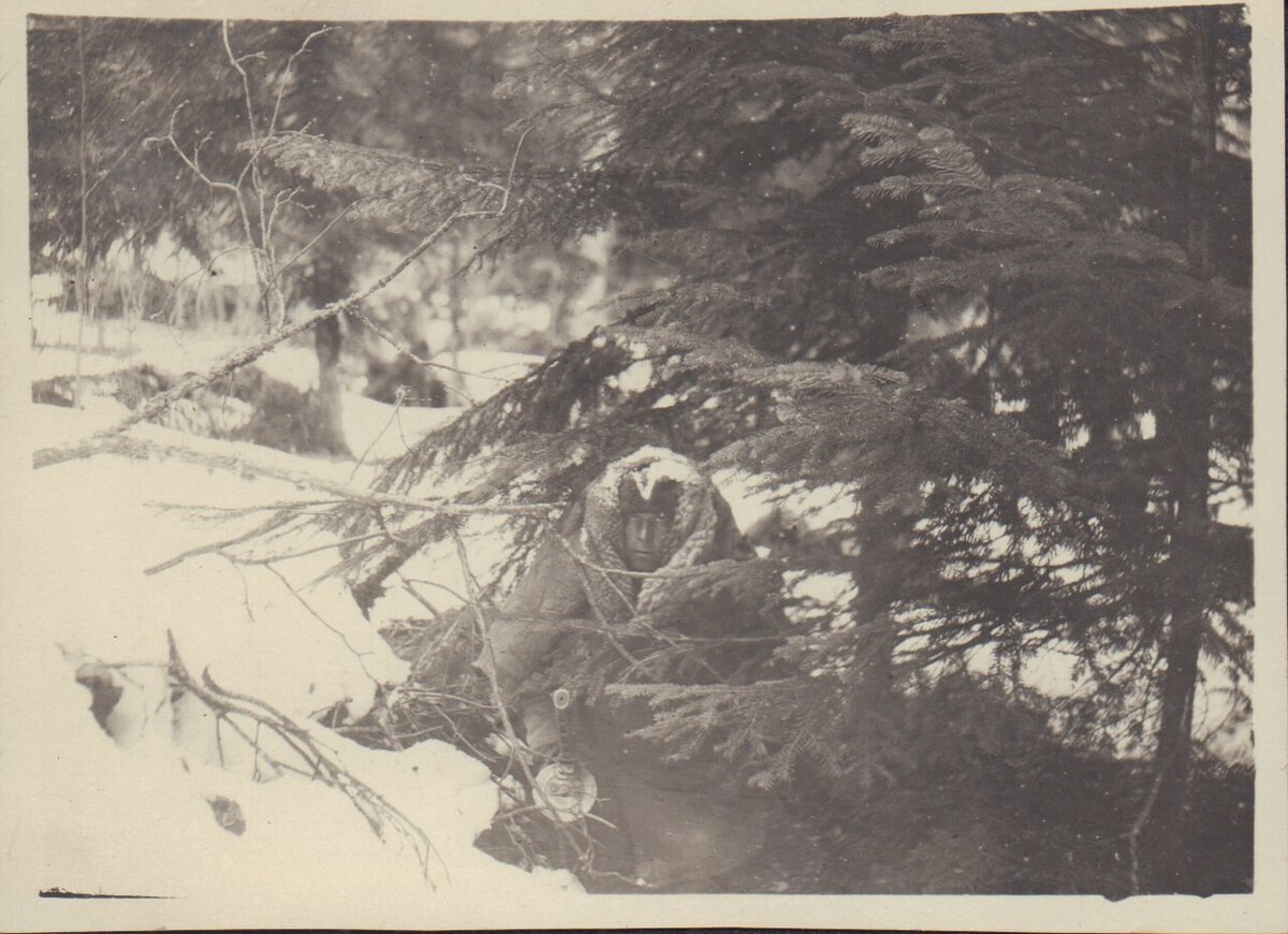 bc23f095-c31f-11ed-80d0-d09466291bd9.jpg