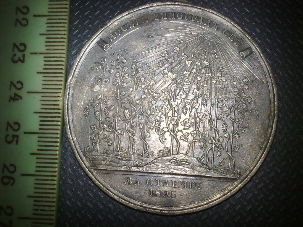 3532759.jpg