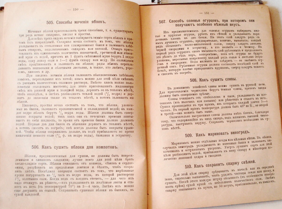 206.JPG