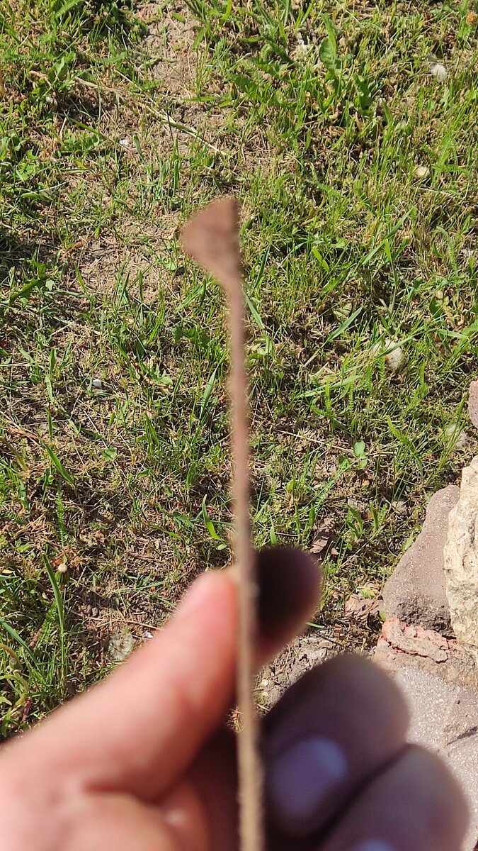 IMG_20230517_160710.jpg