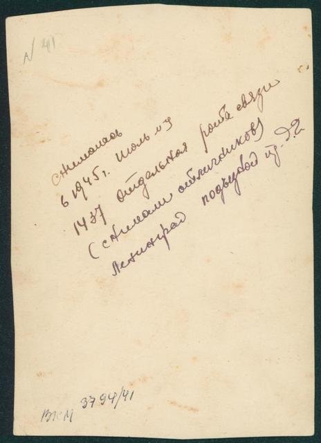 3951103.jpg