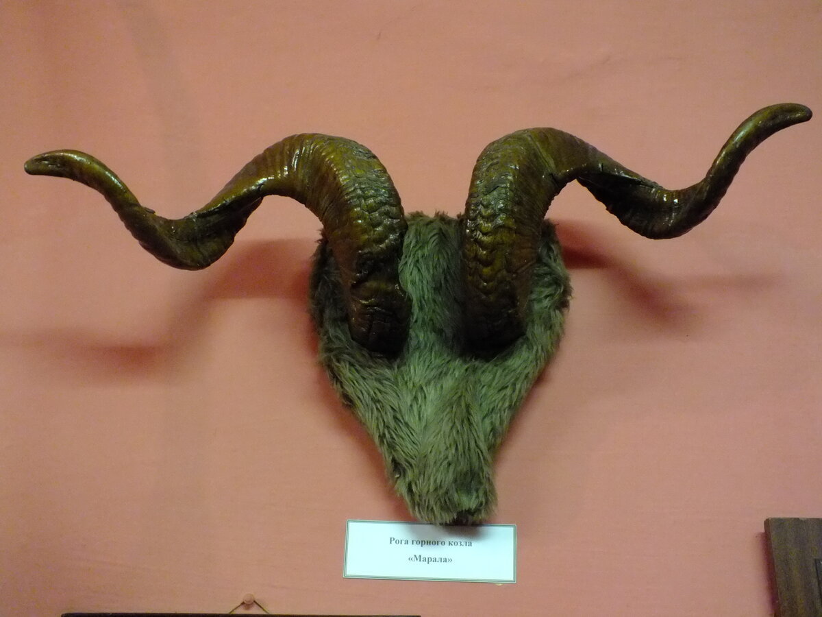 DSCF5583.JPG
