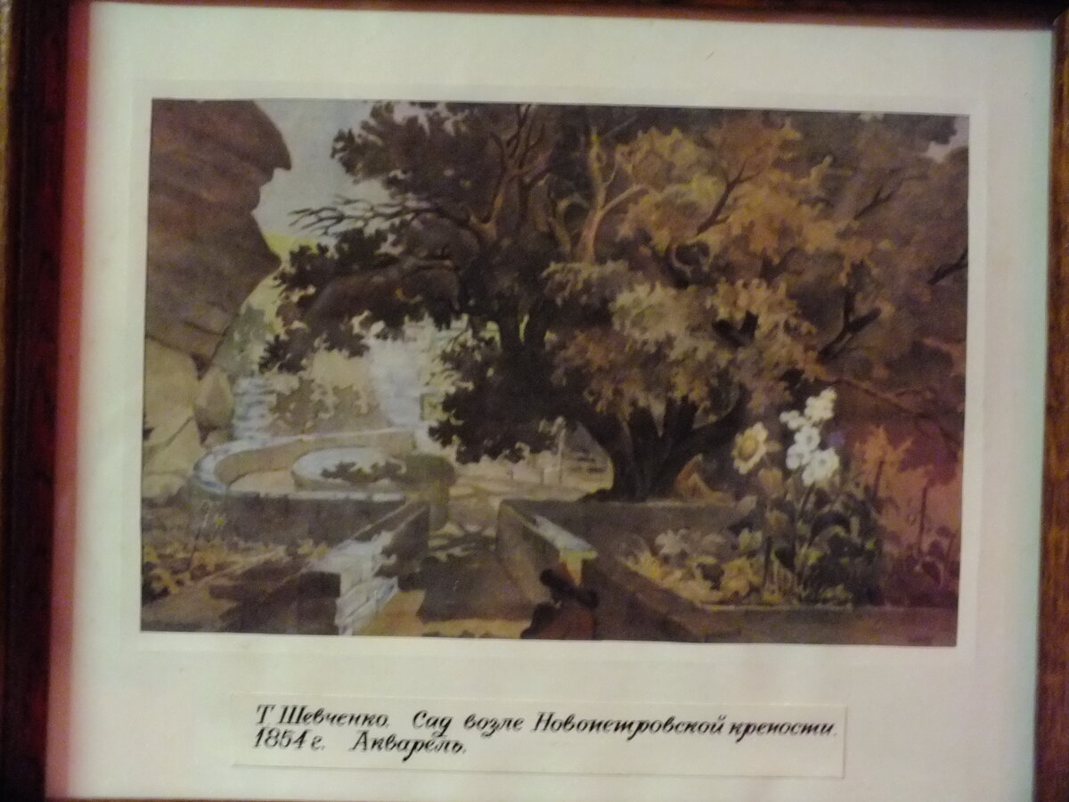 DSCF5588.JPG