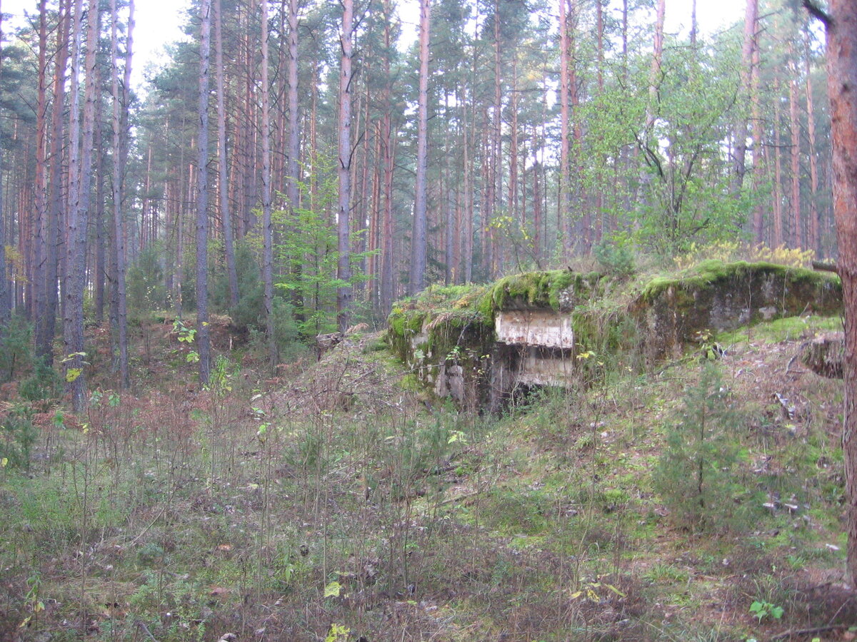 IMG_0671.JPG