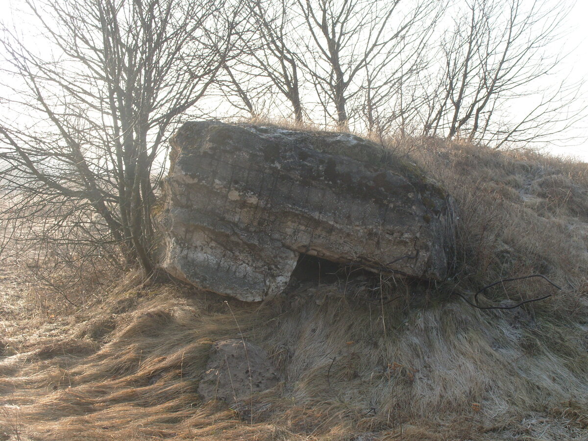 S1058515.JPG