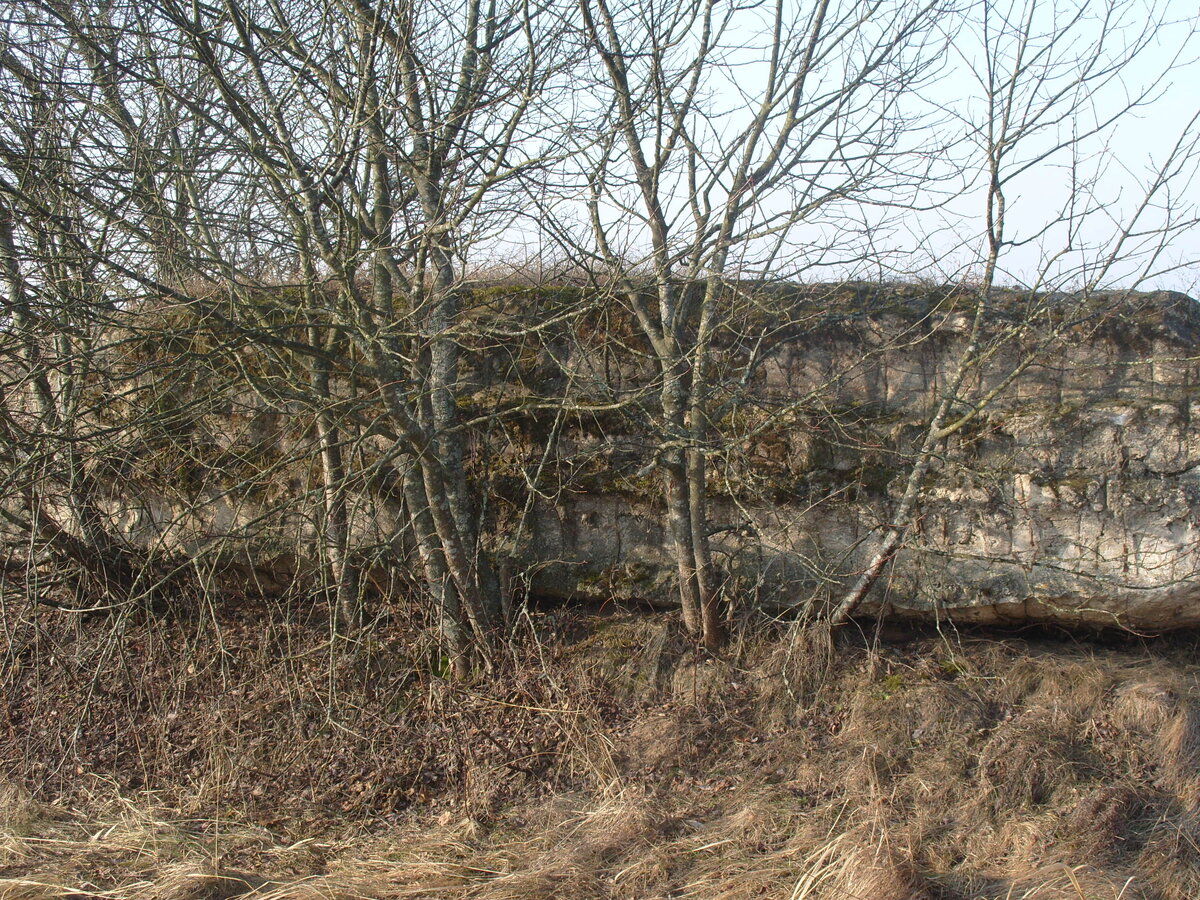 S1058516.JPG