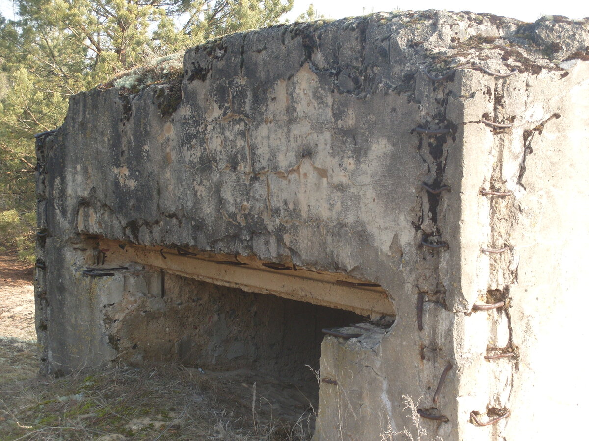 S1058530.JPG
