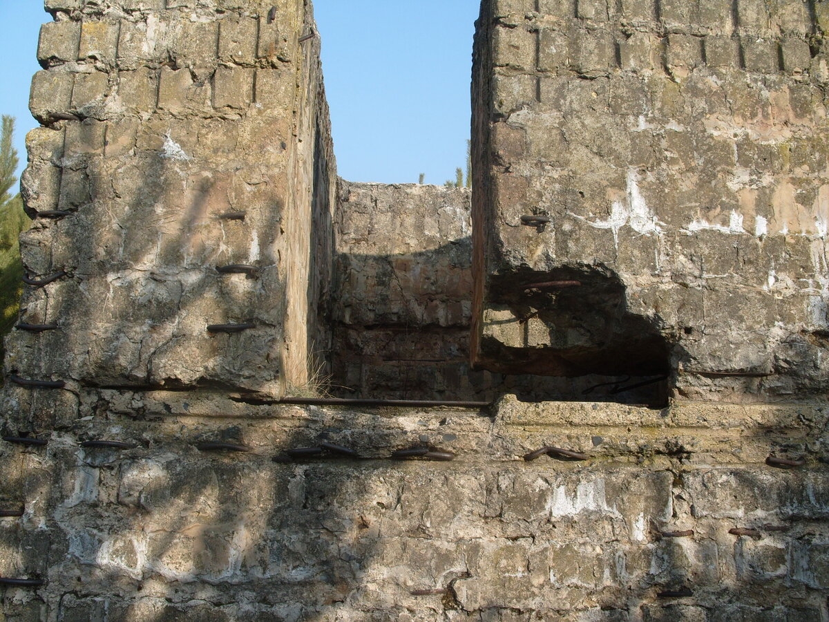 S1058533.JPG