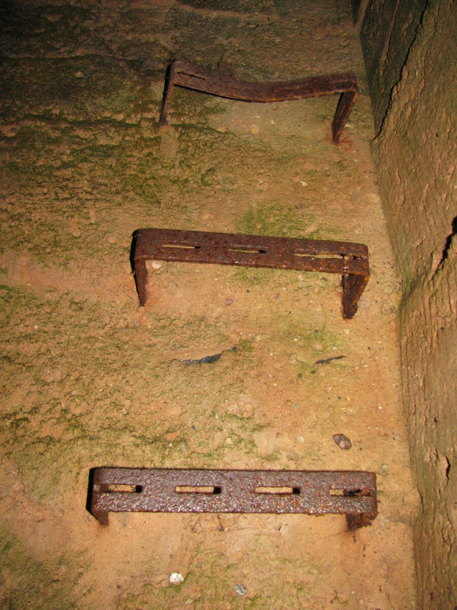 17 854.jpg