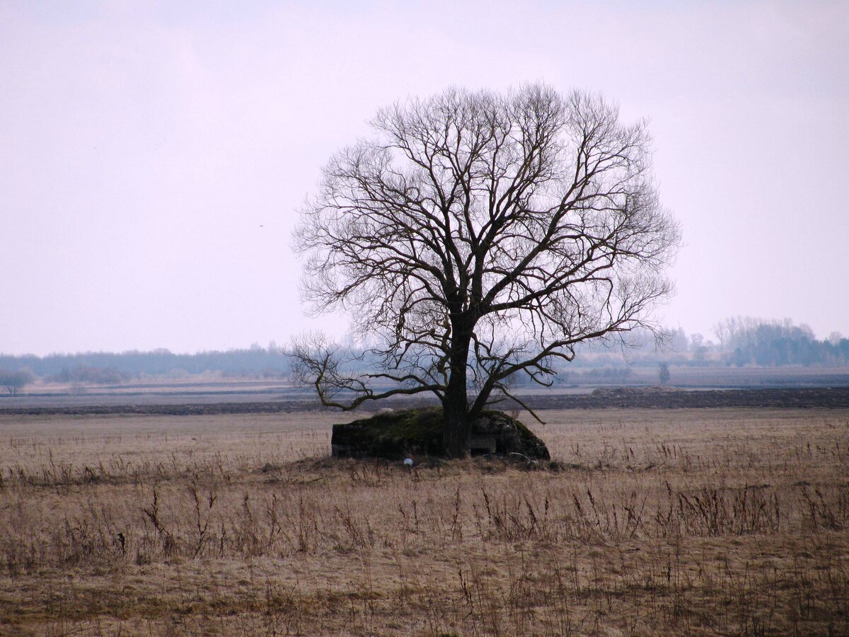 деревня Милути и окреснности апрель 2010г. 046.jpg